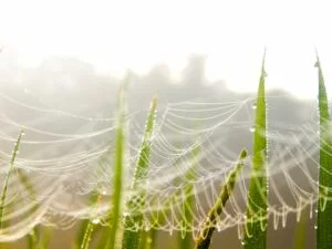 Networks, Crowds, and Markets: Reasoning about a Highly Connected World