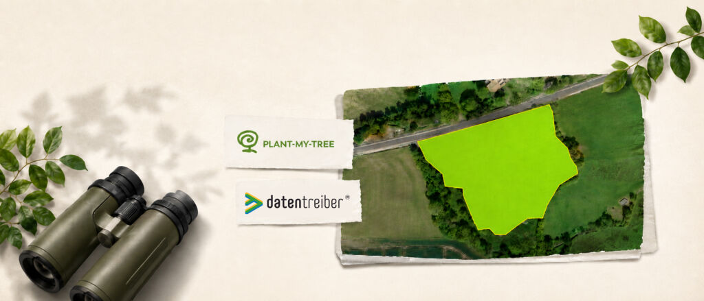 Vom Waldprojekt zur interaktiven Analyse: Wie PLANT-MY-TREE Talk2Earth nutzt